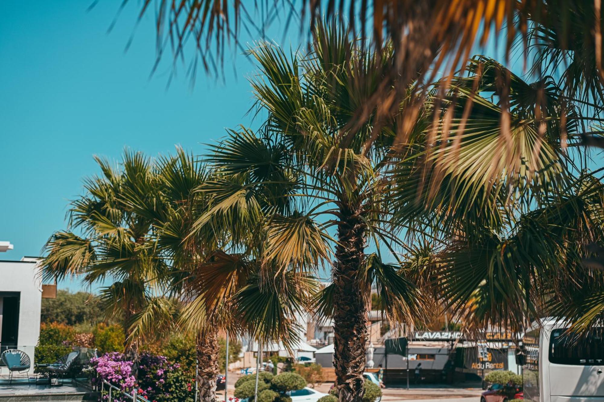 Bianco Hotel Ксамил Екстериор снимка